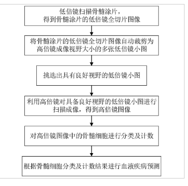 一種基于深度學習的骨髓細胞分類識別方法、裝置及系統