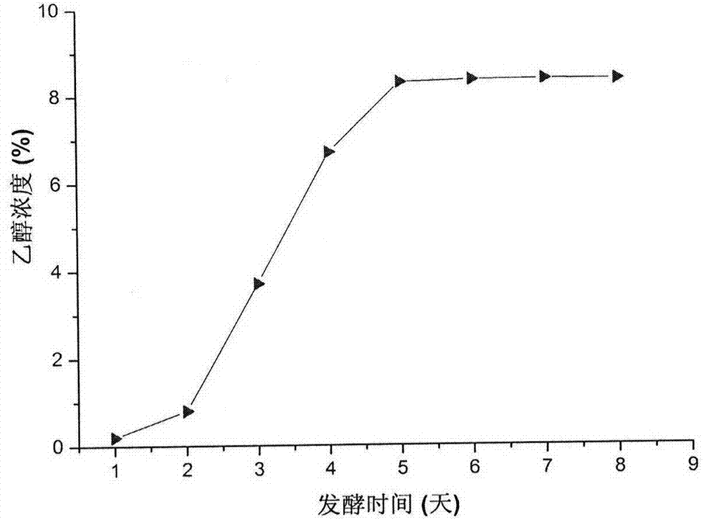 一種發酵型人工蟲草山楂酒的制備方法