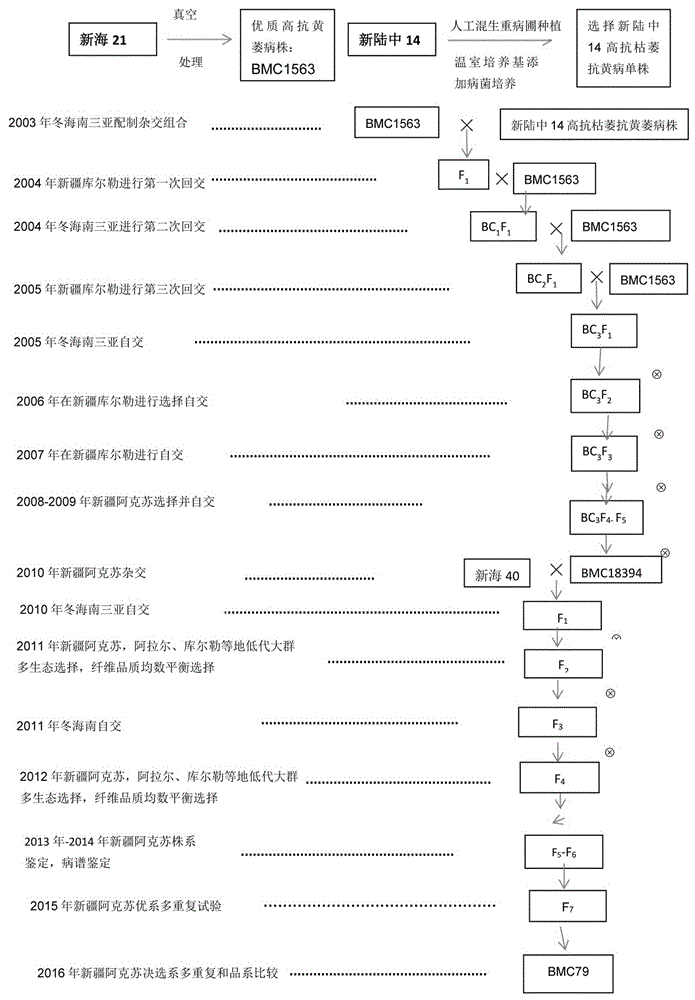 一種可紡精梳360支特細(xì)高檔紗線的特優(yōu)長(zhǎng)絨棉品種及其選育方法