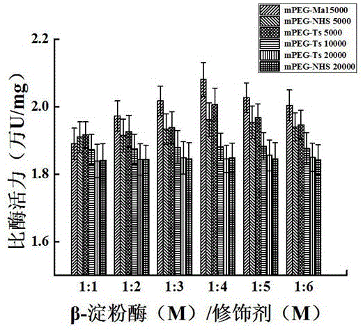 一種mPEG-Mal5000修飾β-淀粉酶的方法
