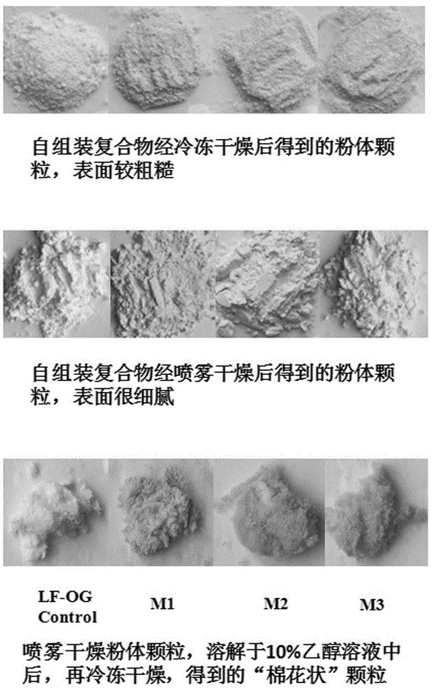 一種基于燕麥β-葡聚糖的澄清型疏水性多酚運載體系及其制備方法