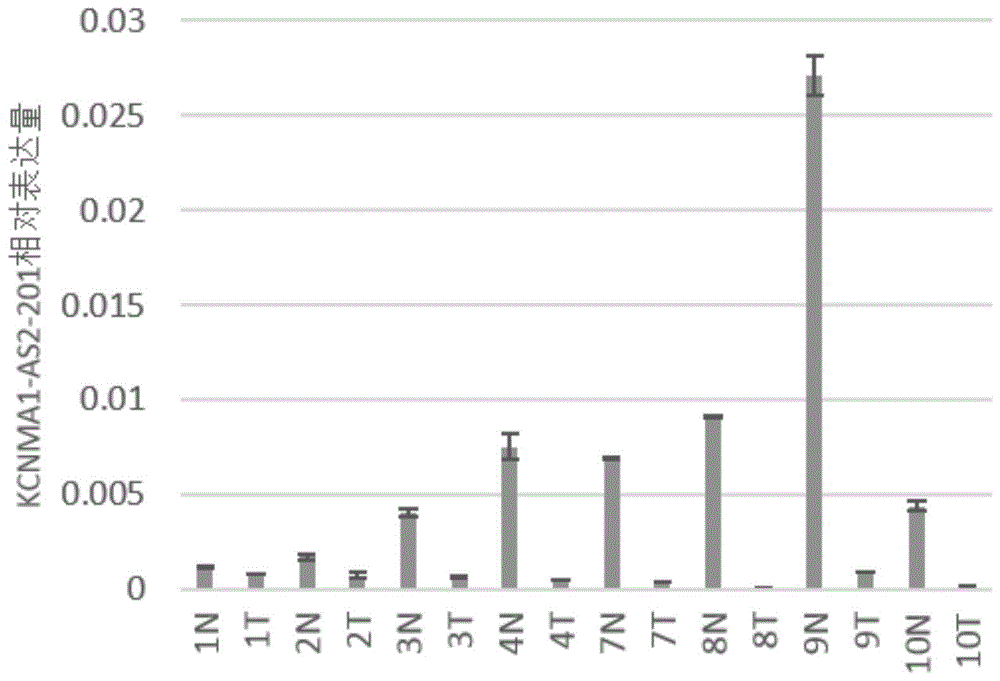 一種lncRNA標(biāo)志物在制備結(jié)直腸癌早期診斷產(chǎn)品中的應(yīng)用、檢測(cè)引物、試劑盒