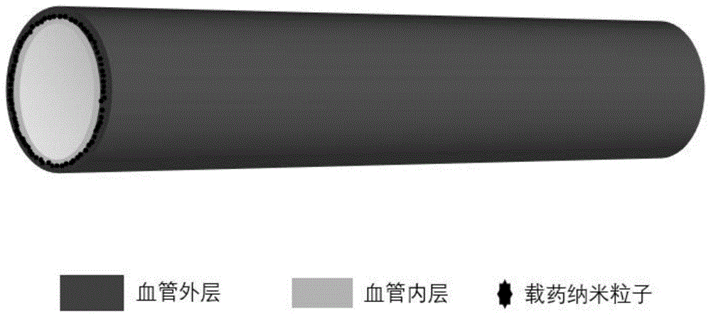 具有促內皮化及抗凝雙功能的人工血管及制備方法、用途