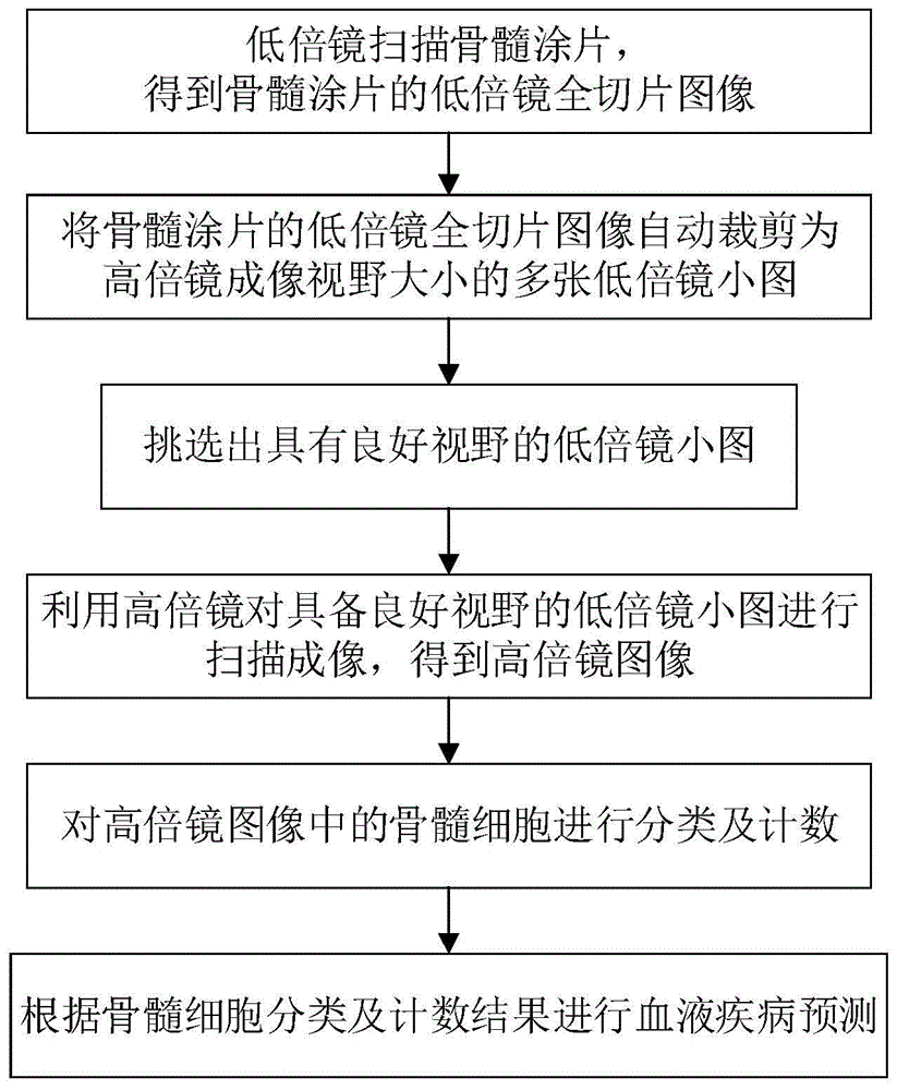 一種基于深度學習的骨髓細胞分類識別方法、裝置及系統(tǒng)