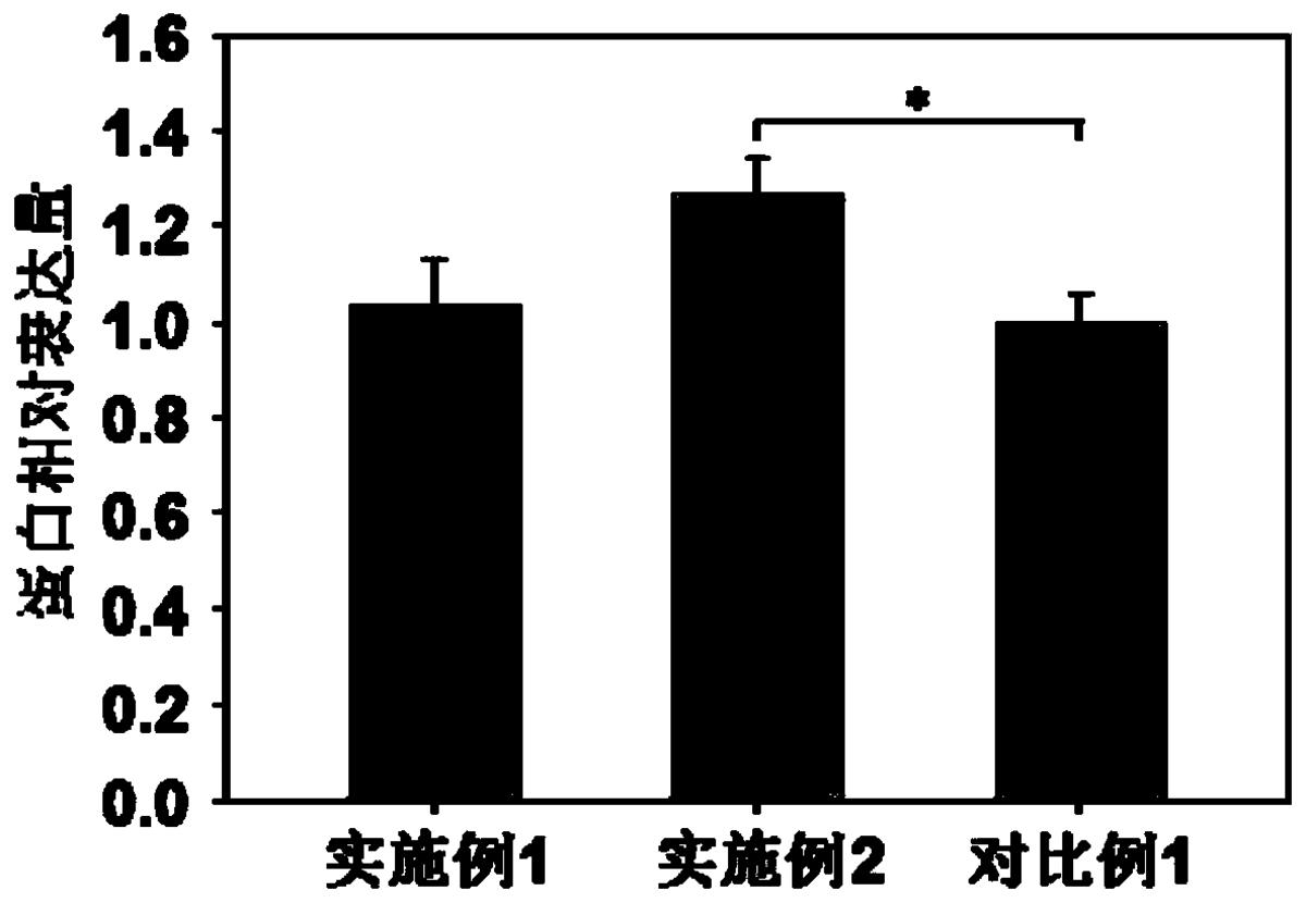 一種無血清無蛋白CHO細(xì)胞培養(yǎng)基及其制備方法、應(yīng)用
