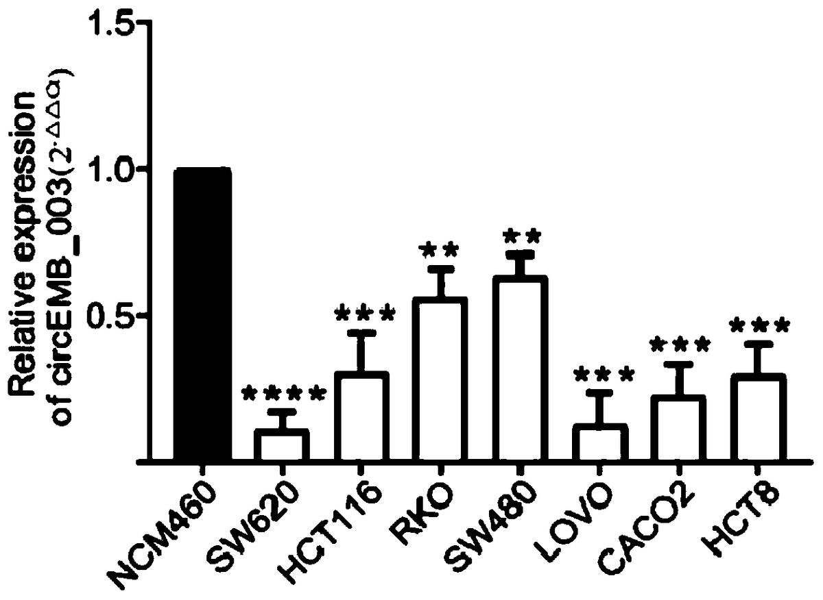 環(huán)狀RNA circEMB_003作為結(jié)直腸癌標(biāo)志物的應(yīng)用