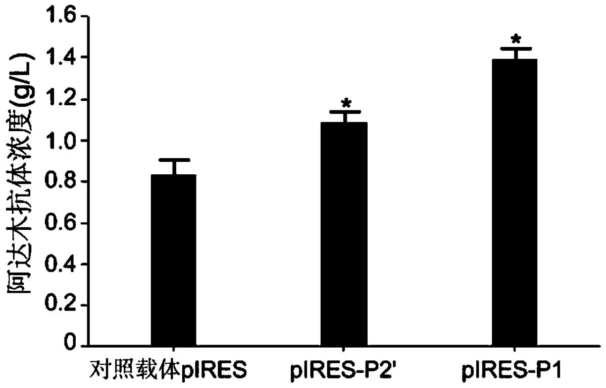 人工合成的內(nèi)含子、哺乳動(dòng)物細(xì)胞重組表達(dá)載體、哺乳動(dòng)物宿主細(xì)胞、表達(dá)方法及其應(yīng)用