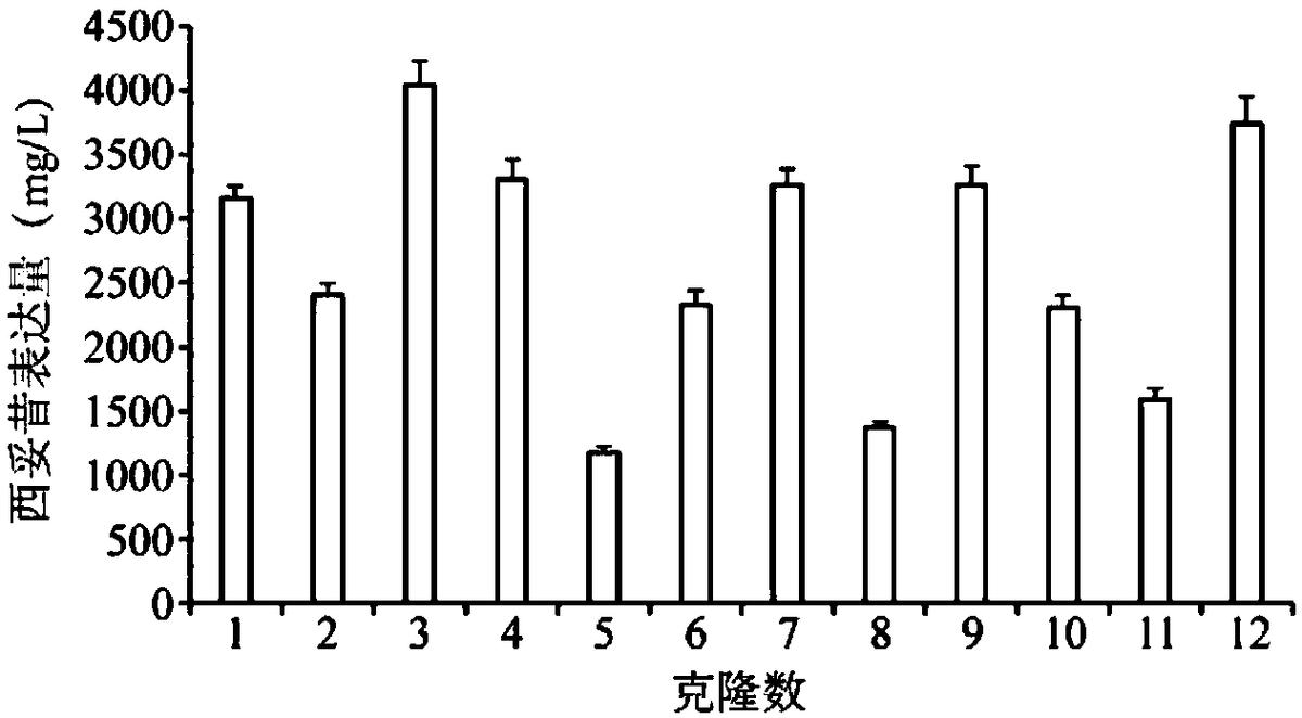一種人工合成的MAR共有序列、表達(dá)載體、表達(dá)系統(tǒng)及其應(yīng)用