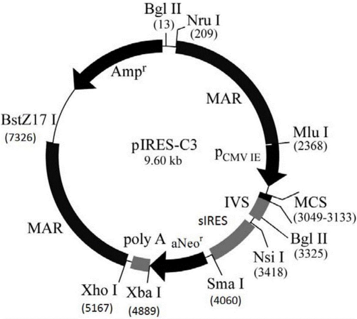 雙順反子表達(dá)載體、表達(dá)系統(tǒng)、制備方法及應(yīng)用