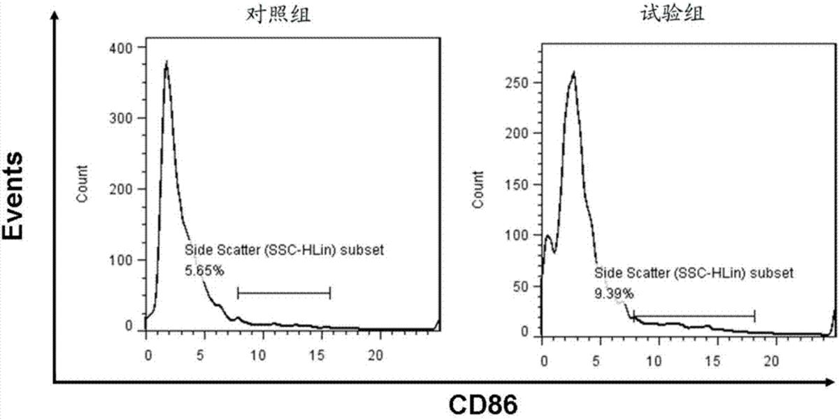 一種新型CpG ODN序列及其在抗黑色素瘤上的應用