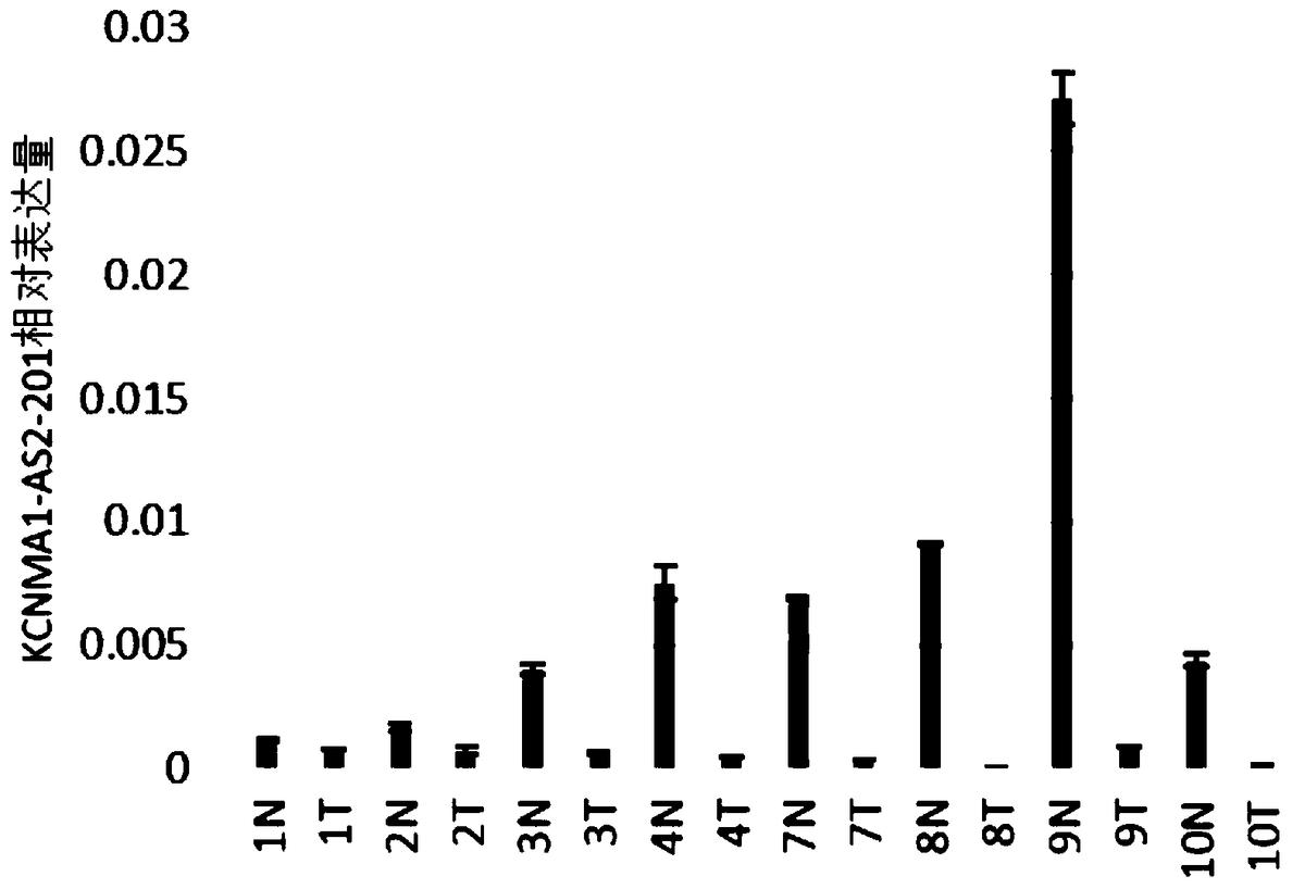 本發明涉及一種lncRNA標志物在制備結直腸癌早期診斷產品中的應用、檢測引物、試劑盒，屬于基因工程及腫瘤學領域。本發明的lncRNA標志物在制備結直腸癌早期診斷產品中的應用，所述lncRNA標志物為KCNMA1?AS2?201，具有如SEQ ID NO.3所示的核苷酸序列。本發明的lncRNA標志物在制備結直腸癌早期診斷產品中的應用，利用該標志物在結直腸癌組織中呈特異性低表達，而在正常組織中沒有這