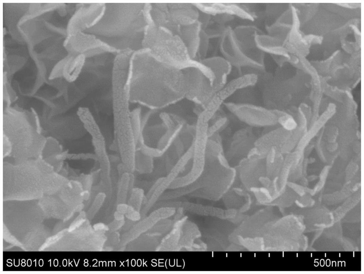 微生物燃料電池用陽極及其制備方法、微生物燃料電池
