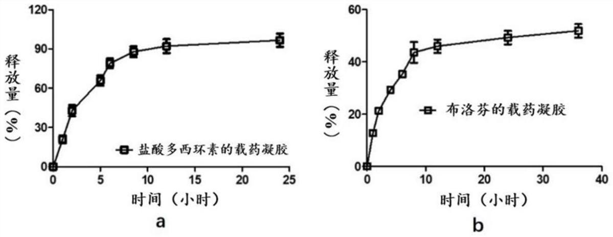 一種基于異斯特維醇的可注射型超分子水凝膠及其制備方法與應用