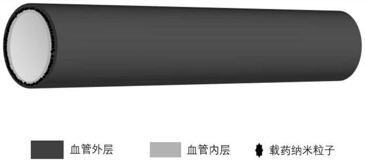 具有促內(nèi)皮化及抗凝雙功能的人工血管及制備方法、用途