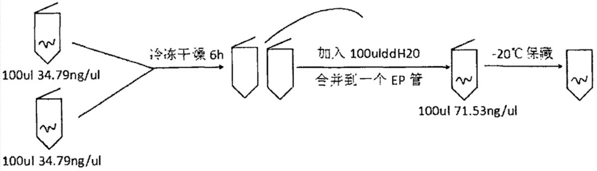 一種通過冷凍干燥濃縮質(zhì)粒的方法