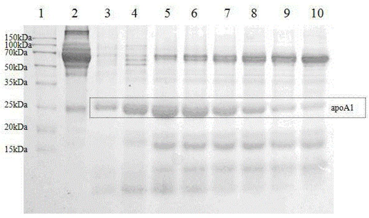 一種利用氣相二氧化硅從人血漿中提取載脂蛋白A-1的方法